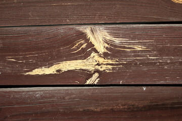 Wood texture. Wooden background with a natural pattern.