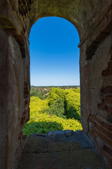 Obraz premium Abandoned church in ruins of Hermits Monks. Convent building from Portugal with tree growing inside.