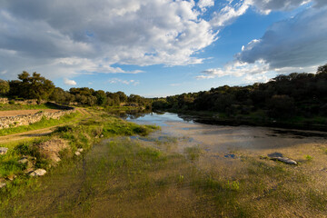 Amazing Landscape with natural Mediterranean temporary pond (Natura 2000 network priority habitat;...