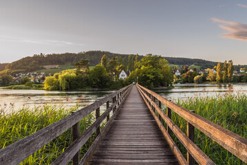 Fototapeta premium View over Rhine river to Island of Werd, Eschenz, Canton of Thurgau, Switzerland