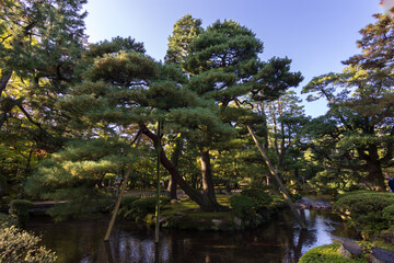 Fototapeta premium Kenroku-en garden in Kanazawa (Japan)