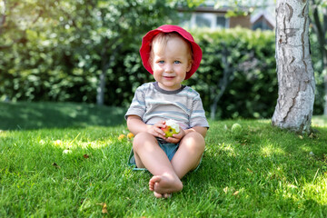 Cute adorable 2 years old caucasian blond toddler boy enjoy eating juicy sweet tasty apple fruit sitting on green grass lawn in park, garden or home yard. Happy careless carefree childhood concept