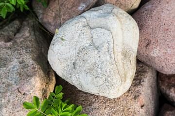 Natural stones with plants around. The texture of the stones of different sizes and colours on the grass. Stone background. 