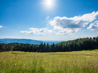 Fototapeta premium Hilly landscape of Oltrepò Pavese, Italy.