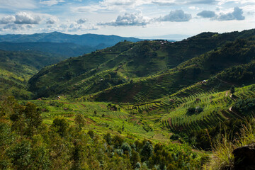 Fototapeta na wymiar Hills of Rwanda, in the region of Gitarama, Rwanda, Africa