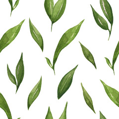 Seamless watercolor background. Green leaves on a white background.