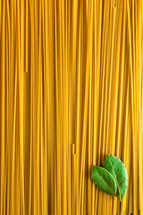 Beautiful studio shot raw pasta with laurel leaves . 
high end advertising photos