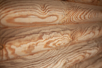 Dry wood texture without bark.