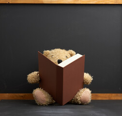 brown teddy bear sitting with a book on a black background, concept of leisure activities