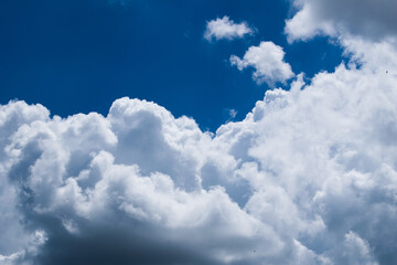 Naklejka na ściany i meble skyscape of clouds on the blue sky in daytime