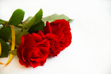 red roses on a white background. bouquet of roses. beautiful flowers.