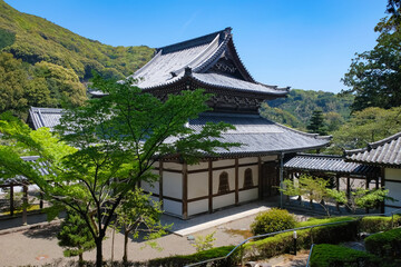 Fototapeta premium 由良町 興国寺 本堂