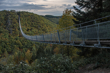 suspension bridge in the mountains