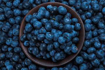 Fresh blueberry background.
