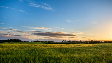 Plakat Beautiful Sunset on the field in Catalonya, Spain, Europe