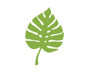 Tropical leaf icon.  Botanic tropic leaf. Wide leaf icon. 