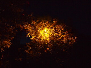 night light

