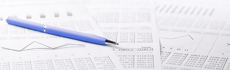 Accounting document with pen and checking financial chart. Concept of banking, financial report and financial audit.