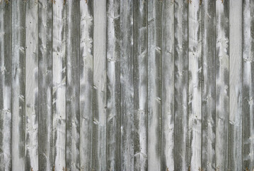 Close-up of gray wood texture.Texture or background