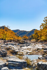【埼玉県 長瀞】紅葉時期の長瀞岩畳