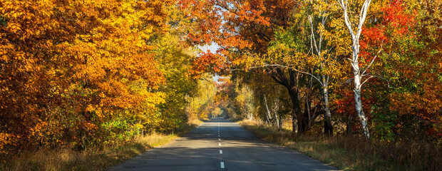 Beautiful autumn landscape with the road and the sun's rays of the setting sun.