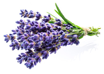 Bunch of lavandula or lavender flowers on white background.