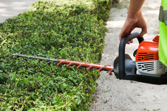 gardener trims a bush with a brush cutter