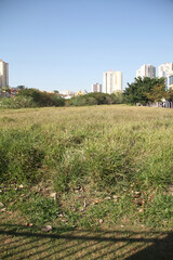 Fototapeta na wymiar Building, blue sky, green grass, São Caetano do Sul, São Paulo, Brazil