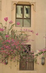 window, flowers, house, flower, wall, architecture, home, door, old, building, red, exterior, green, village, stone, plant, pink, geranium, glass, box, Dubai, white, traditional, summer