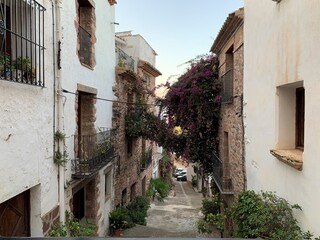 casas con plantas, enredaderas