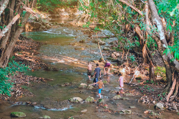 A group of children are walking to explore the nature of the stream at Hin Dad hot spring in Kanchanaburi, Thailand.