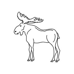 Moose line vector illustration isolated on white background. Hand drawn elk icon.