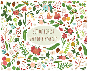 Vector colorful graphic set with forest elements
