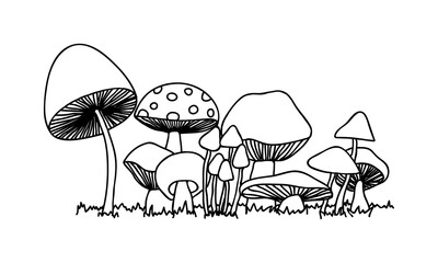 Toadstool house vector illustration. Hand drawn mushrooms.