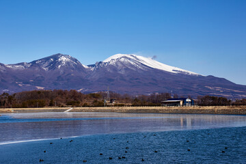 冬の浅間山 みまき大池付近より 長野県小諸市