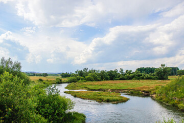 Fototapeta na wymiar landscape with river and sky
