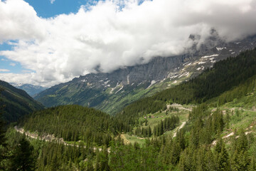 Fototapeta premium Alpine road pass in switzerland covered in clouds with forest and mountains in background