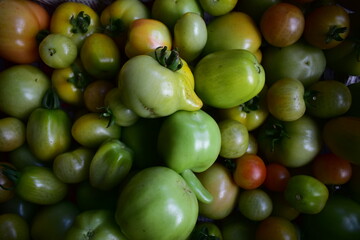 green and red tomatoes