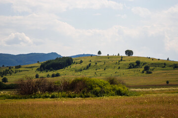 landscape with mountains and trees