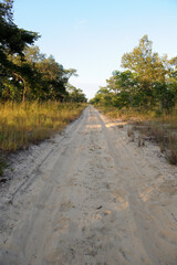 An endless African road