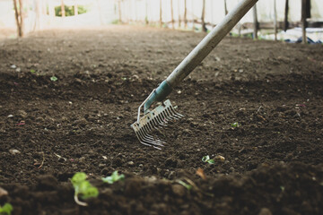 shovel in the garden
