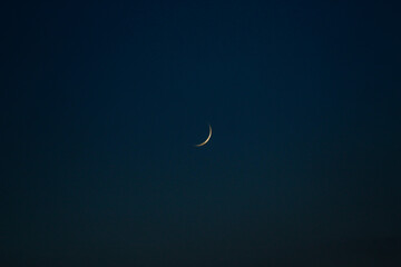 crescent moon in the night