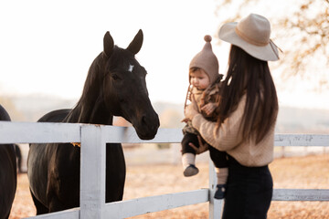 Young mother and little baby girl near a horses in autumn sunny day. Mother stroking a horse and smiling. mother's day.