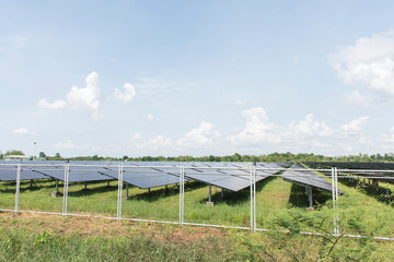 The solar cells are arranged together with a fence.