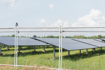 The solar cells are arranged together with a fence.