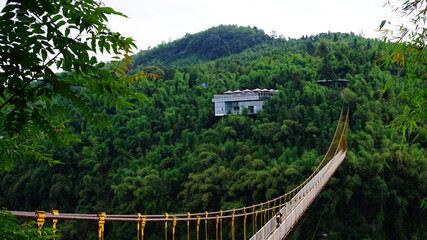 Fototapeta na wymiar bridge over the forest