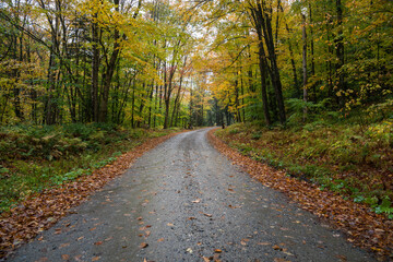 Wet unpaved road through a colourful autumnal forest in the mountains on a rainy day