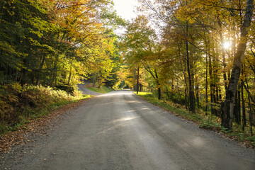 Fototapeta premium Tree lined unmade road in the countryside at sunset. Sunbeams are filtering through the tree branches.