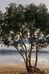 Obraz premium view of the beach at sunset