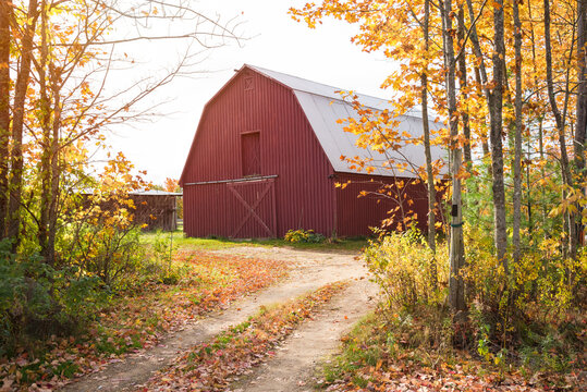 Red traditional barn in the countryside of New England on a sunny autumn day. Beautiful fall colors.